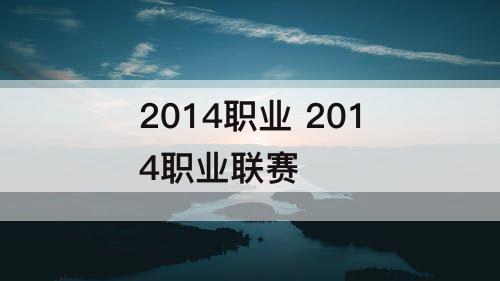 2014职业 2014职业联赛