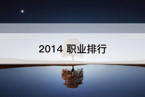 2014 职业排行