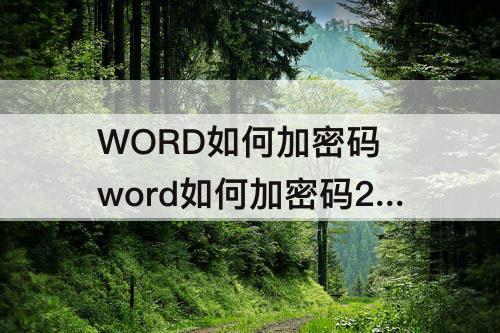 WORD如何加密码 word如何加密码2010