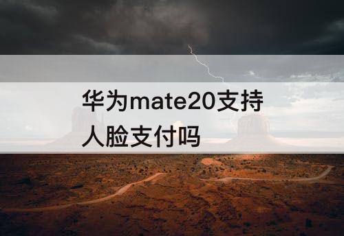 华为mate20支持人脸支付吗
