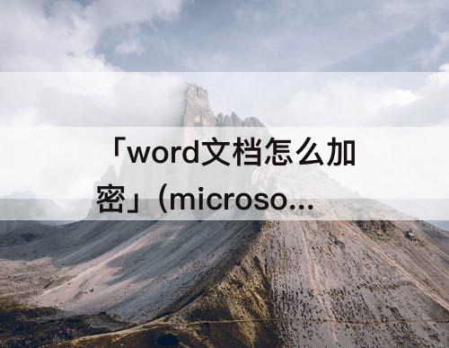 「word文档怎么加密」(microsoftword文档怎么加密)