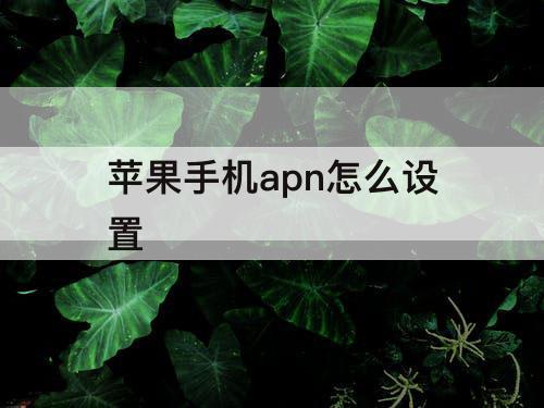 苹果手机apn怎么设置