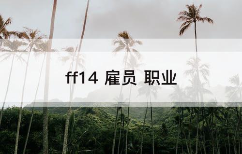 ff14 雇员 职业