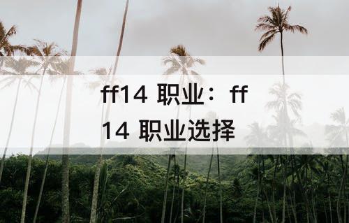 ff14 职业：ff14 职业选择