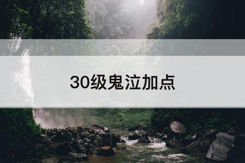 30级鬼泣加点