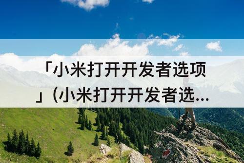 「小米打开开发者选项」(小米打开开发者选项关闭miui优化)
