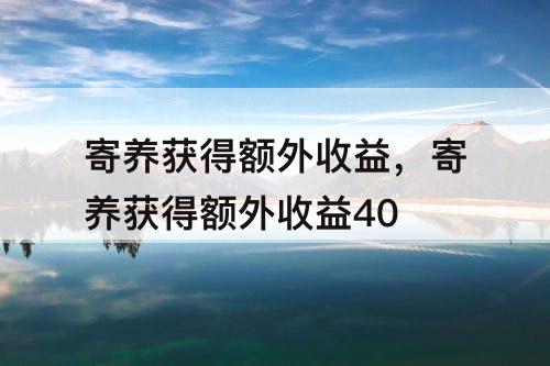 寄养获得额外收益，寄养获得额外收益40