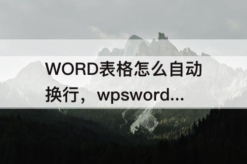 WORD表格怎么自动换行，wpsword表格怎么自动换行