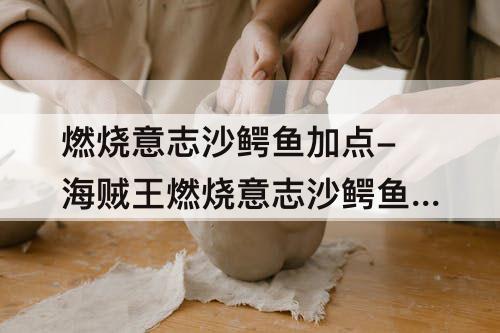 燃烧意志沙鳄鱼加点-海贼王燃烧意志沙鳄鱼加点