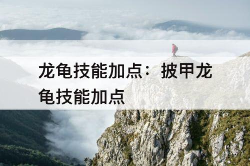 龙龟技能加点：披甲龙龟技能加点