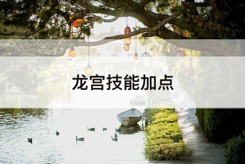 龙宫技能加点