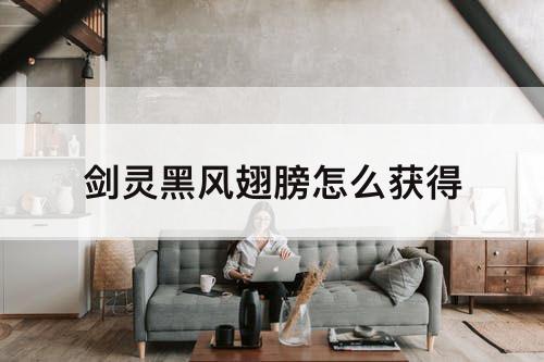 剑灵黑风翅膀怎么获得