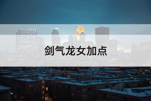 剑气龙女加点