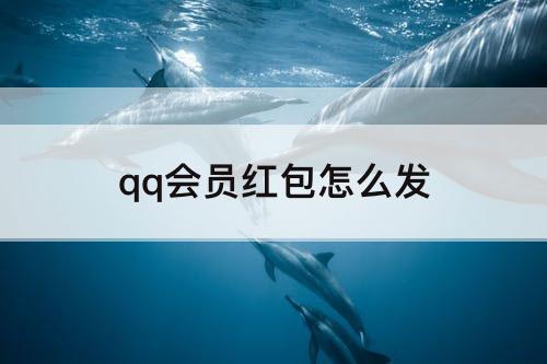 qq会员红包怎么发