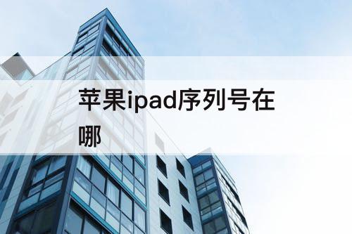 苹果ipad序列号在哪