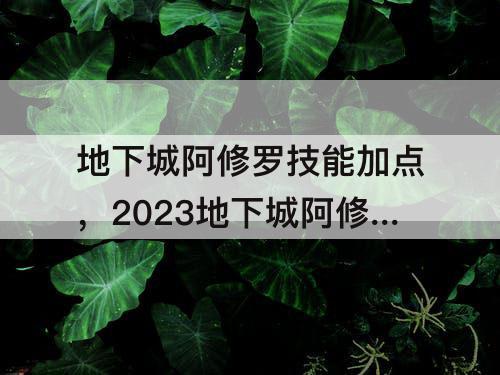 地下城阿修罗技能加点，2023地下城阿修罗技能加点