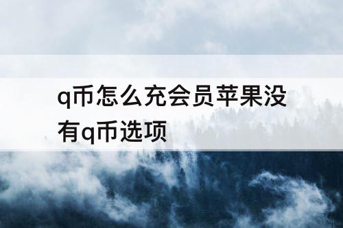 q币怎么充会员苹果没有q币选项