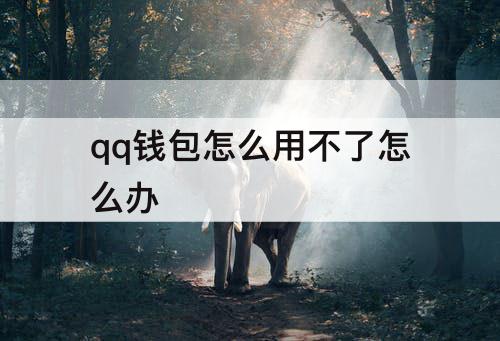 qq钱包怎么用不了怎么办