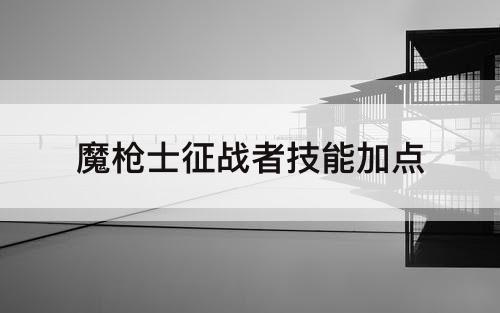 魔枪士征战者技能加点