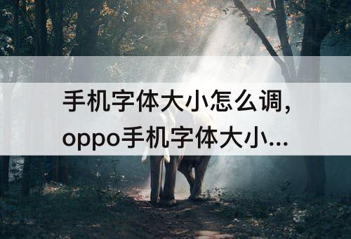 手机字体大小怎么调，oppo手机字体大小怎么调节-ZOL问答