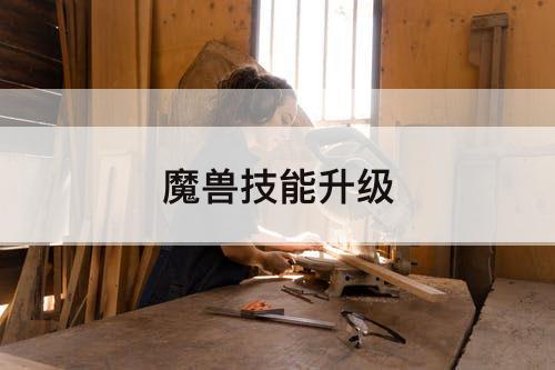 魔兽技能升级