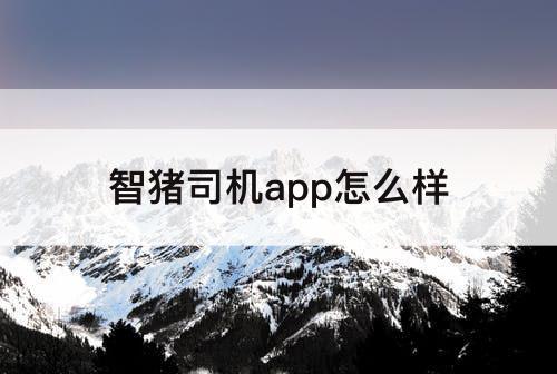 智猪司机app怎么样