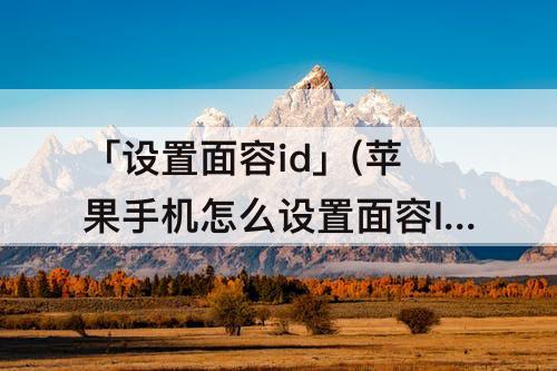 「设置面容id」(苹果手机怎么设置面容ID下载软件)