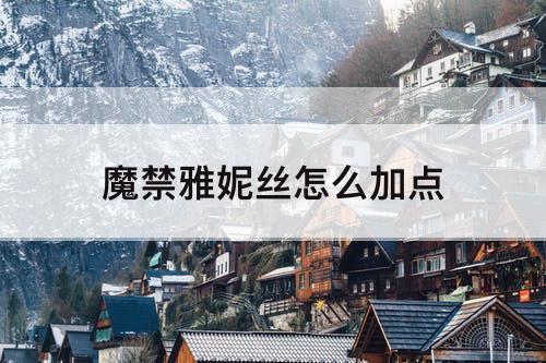 魔禁雅妮丝怎么加点