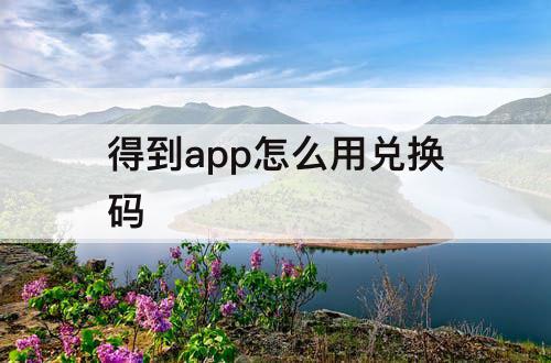 得到app怎么用兑换码