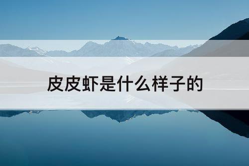 皮皮虾是什么样子的