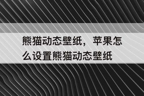 熊猫动态壁纸，苹果怎么设置熊猫动态壁纸