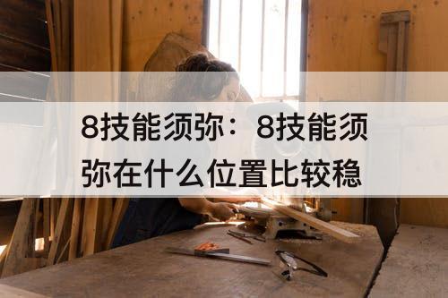 8技能须弥：8技能须弥在什么位置比较稳