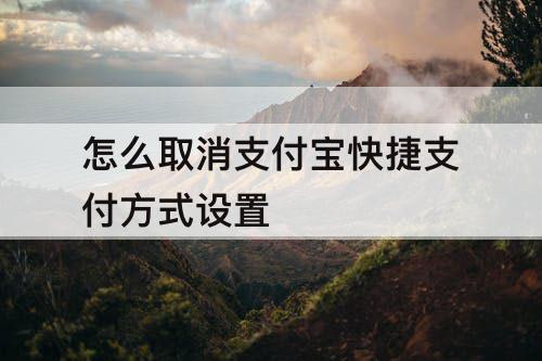 怎么取消支付宝快捷支付方式设置