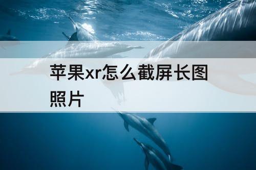 苹果xr怎么截屏长图照片