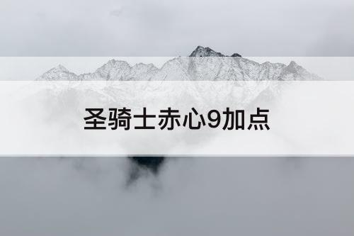 圣骑士赤心9加点