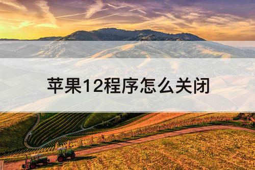 苹果12程序怎么关闭