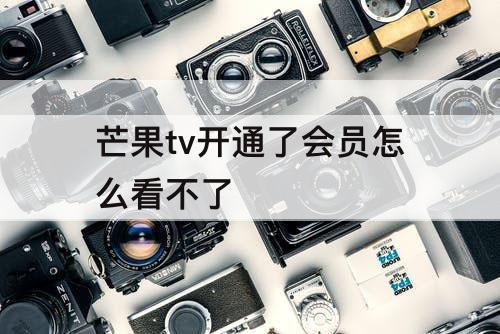 芒果tv开通了会员怎么看不了