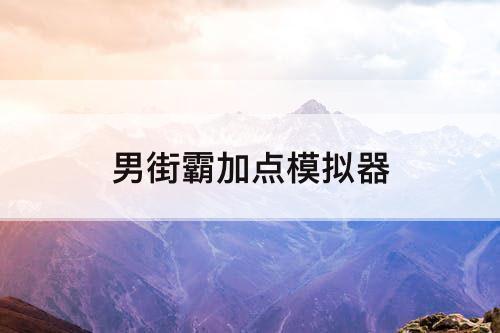 男街霸加点模拟器