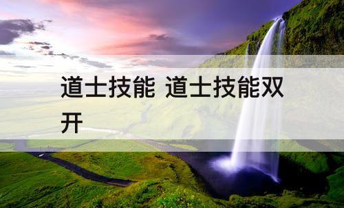 道士技能 道士技能双开