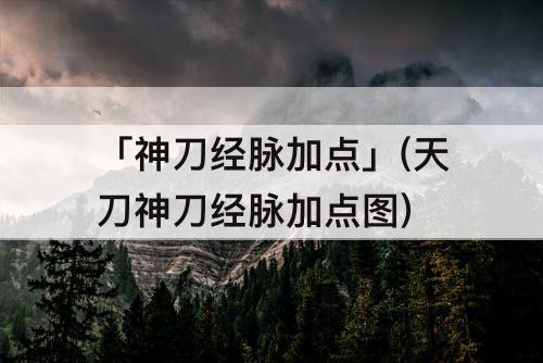 「神刀经脉加点」(天刀神刀经脉加点图)