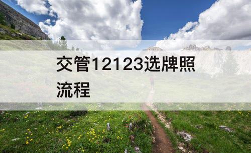 交管12123选牌照流程