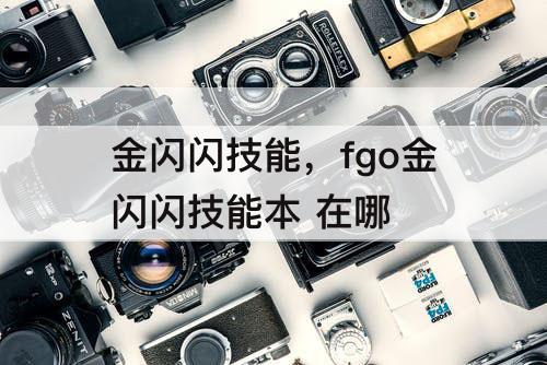 金闪闪技能，fgo金闪闪技能本 在哪