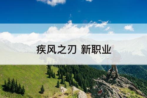 疾风之刃 新职业