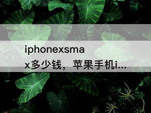 iphonexsmax多少钱，苹果手机iphonexsmax多少钱