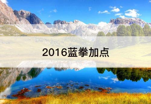 2016蓝拳加点