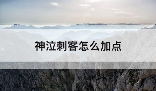 神泣刺客怎么加点