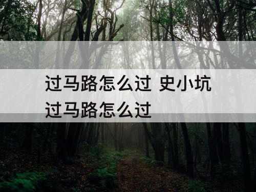 过马路怎么过 史小坑过马路怎么过