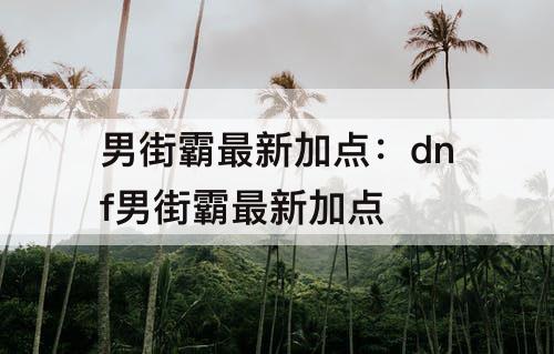 男街霸最新加点：dnf男街霸最新加点