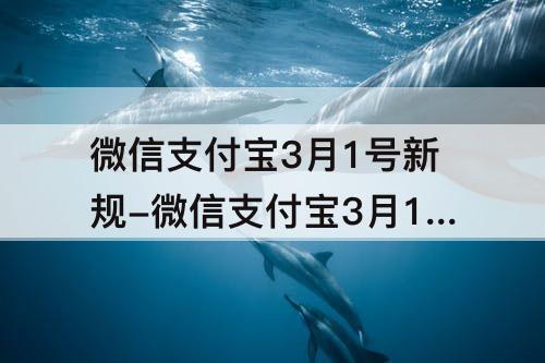 微信支付宝3月1号新规-微信支付宝3月1号新规手续费自己操作