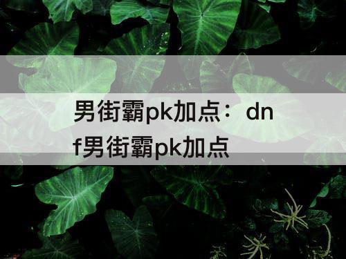 男街霸pk加点：dnf男街霸pk加点